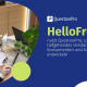 Hello Fresh Case Study Marktforschung